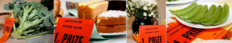 Selection of photographs to go with article