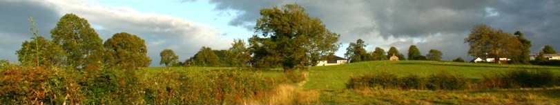Selection of photographs to go with article