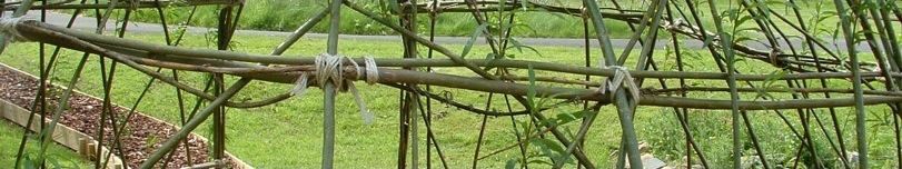 Selection of photographs to go with article