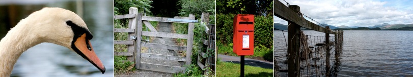 Selection of photographs to go with article