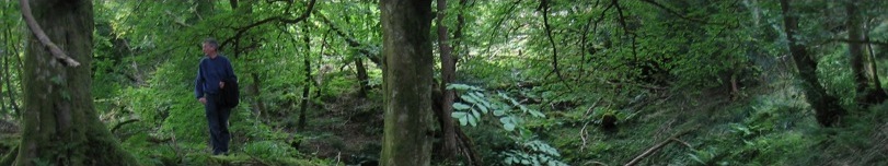 Selection of photographs to go with article