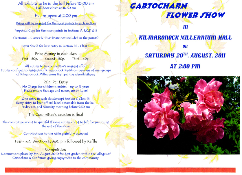 flower_show_1