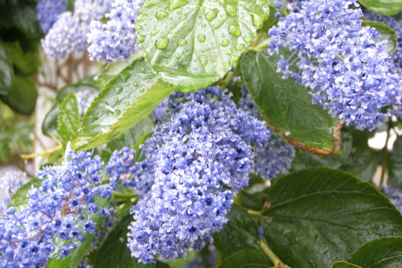 Kilarden, It Was a Bit Damp That Day!