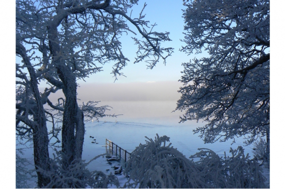 Early Winter