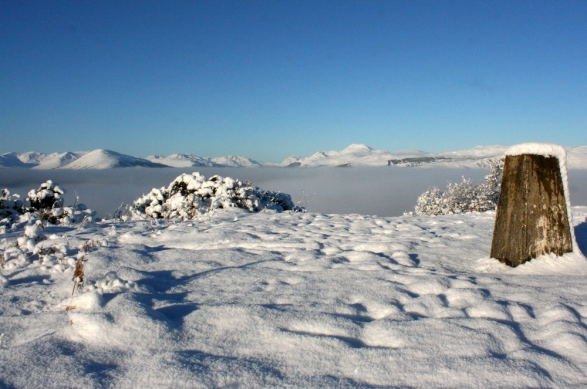 Winter Magic
