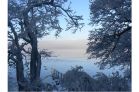Early Winter's Evening