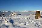 Winter Magic